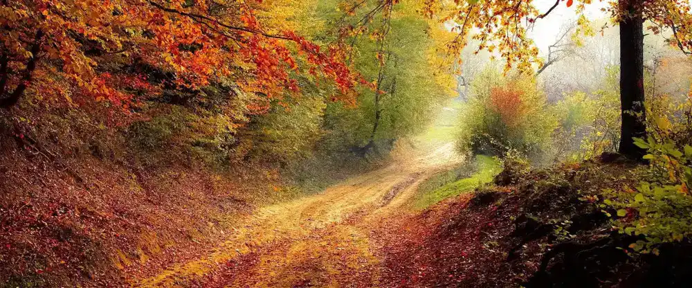 Imagem ilustrativa sobre Terapia Cognitiva-Comportamental Online Terapia Cognitiva-Comportamental Online -